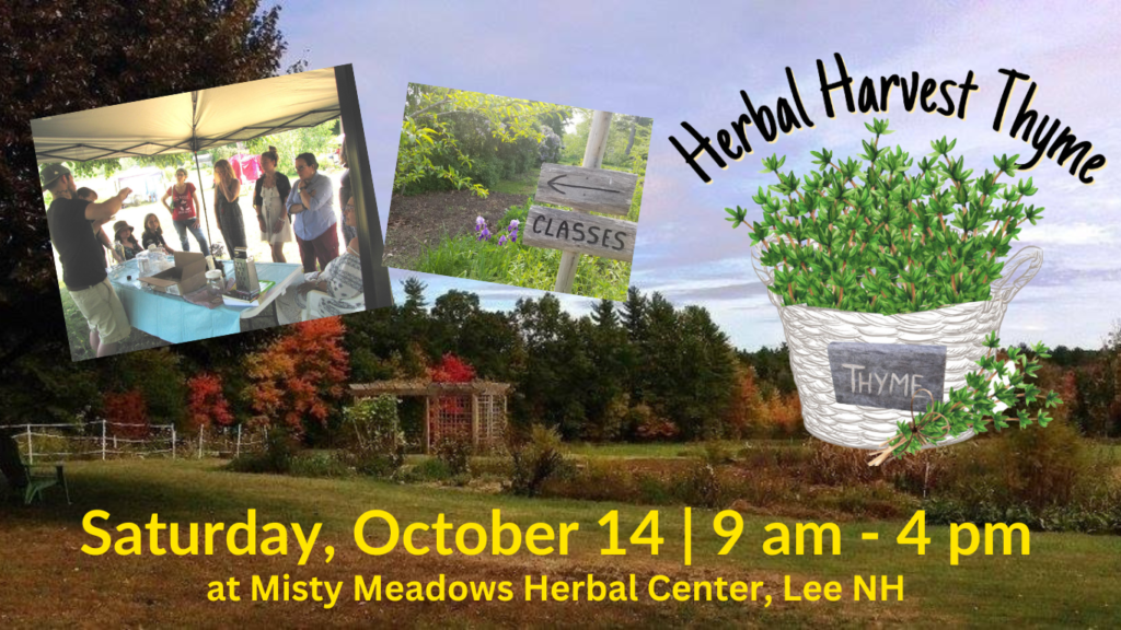 Herbal Harvest Thyme Saturday October 14 9-4 pm
